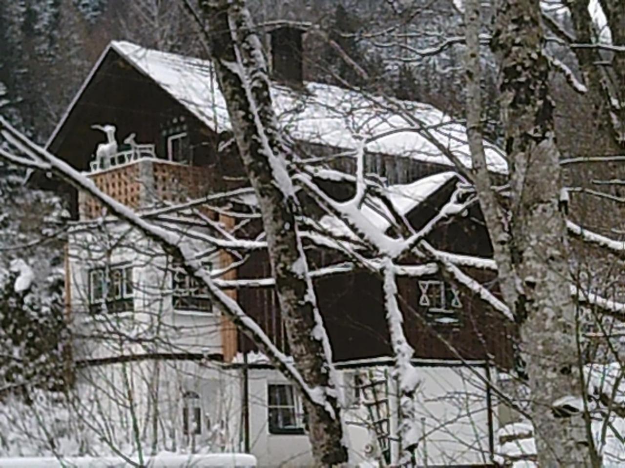 Villa Georges Rast Altaussee Exterior foto